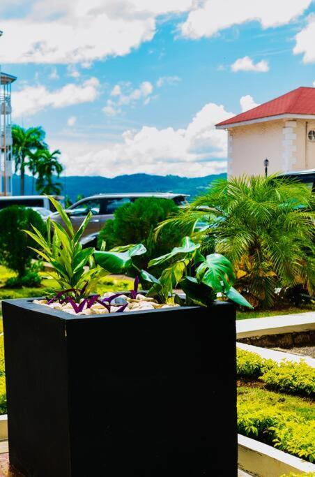 Falcon Islandview - Airport Pickup Available - 24Security Montego Bay Luaran gambar